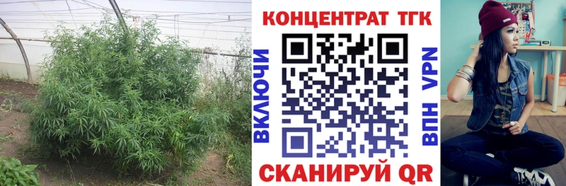 ТГК гашишное масло  Красный Сулин 