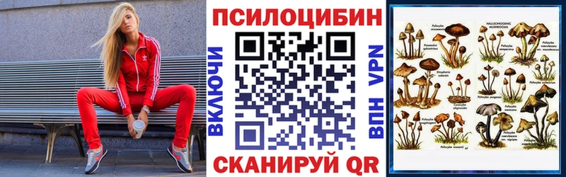 Галлюциногенные грибы Cubensis  Красный Сулин 